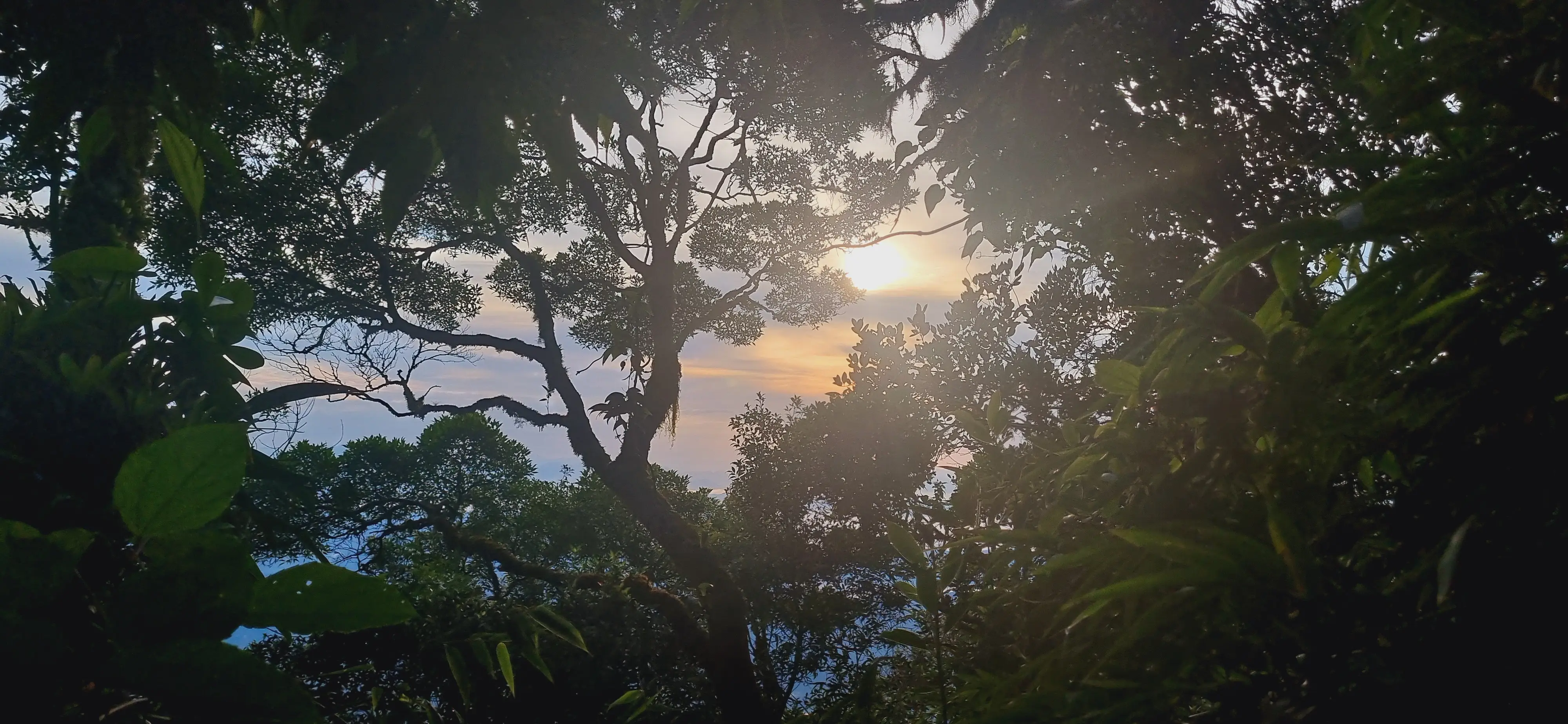 Marumbi, 03 mai 2025