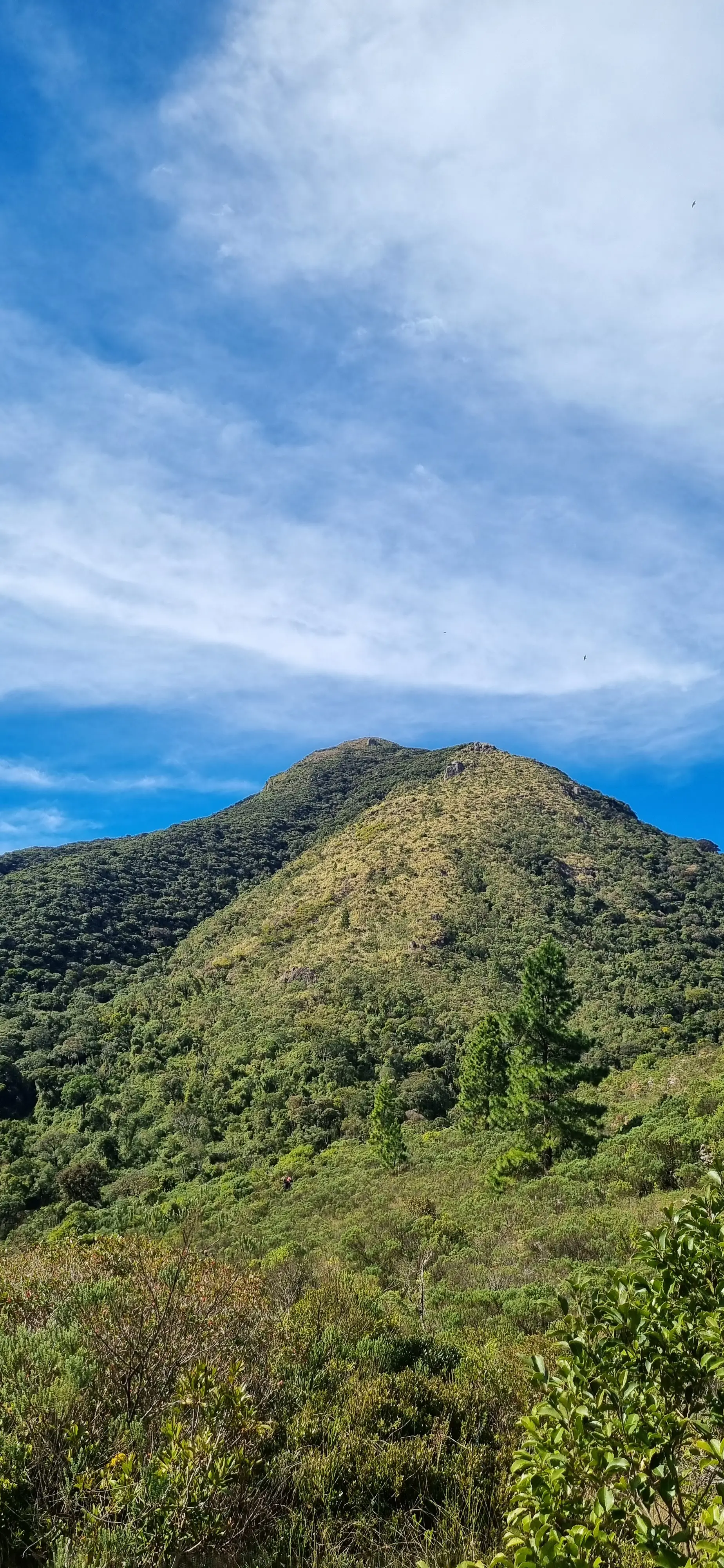 Pico Paraná, 20 jul 2025