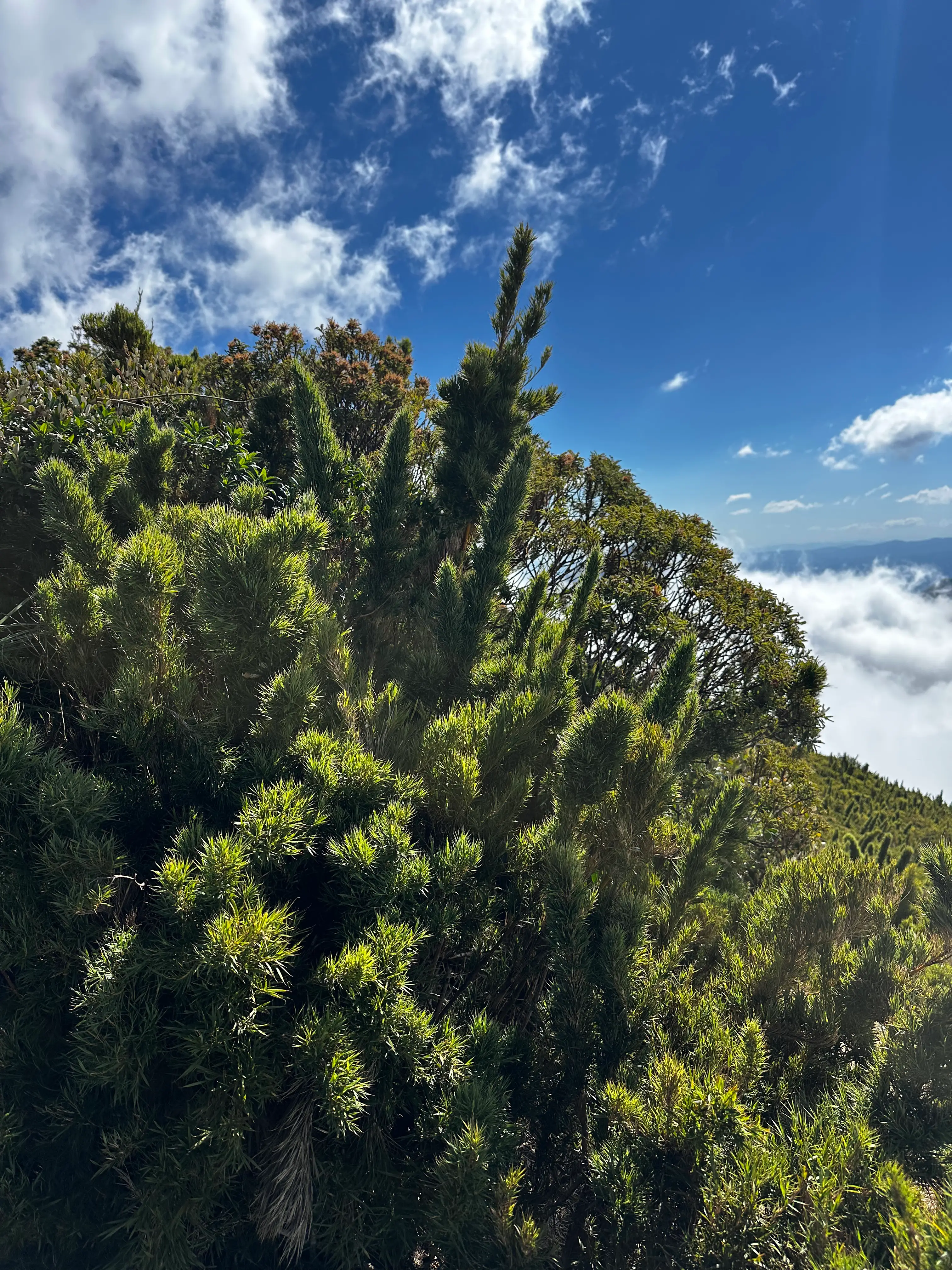 Pico Caratuva, 23 ago 2026